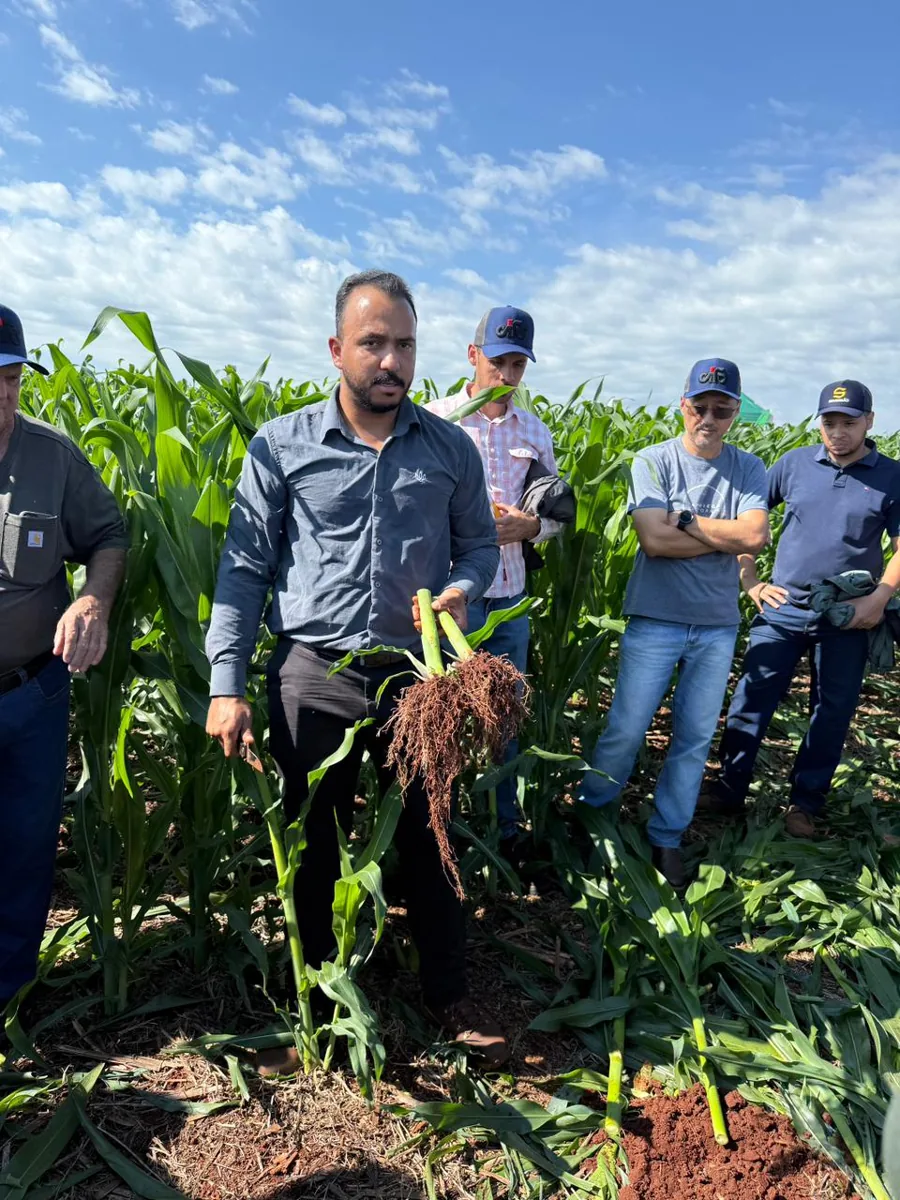 Consultoria agronômica no campo