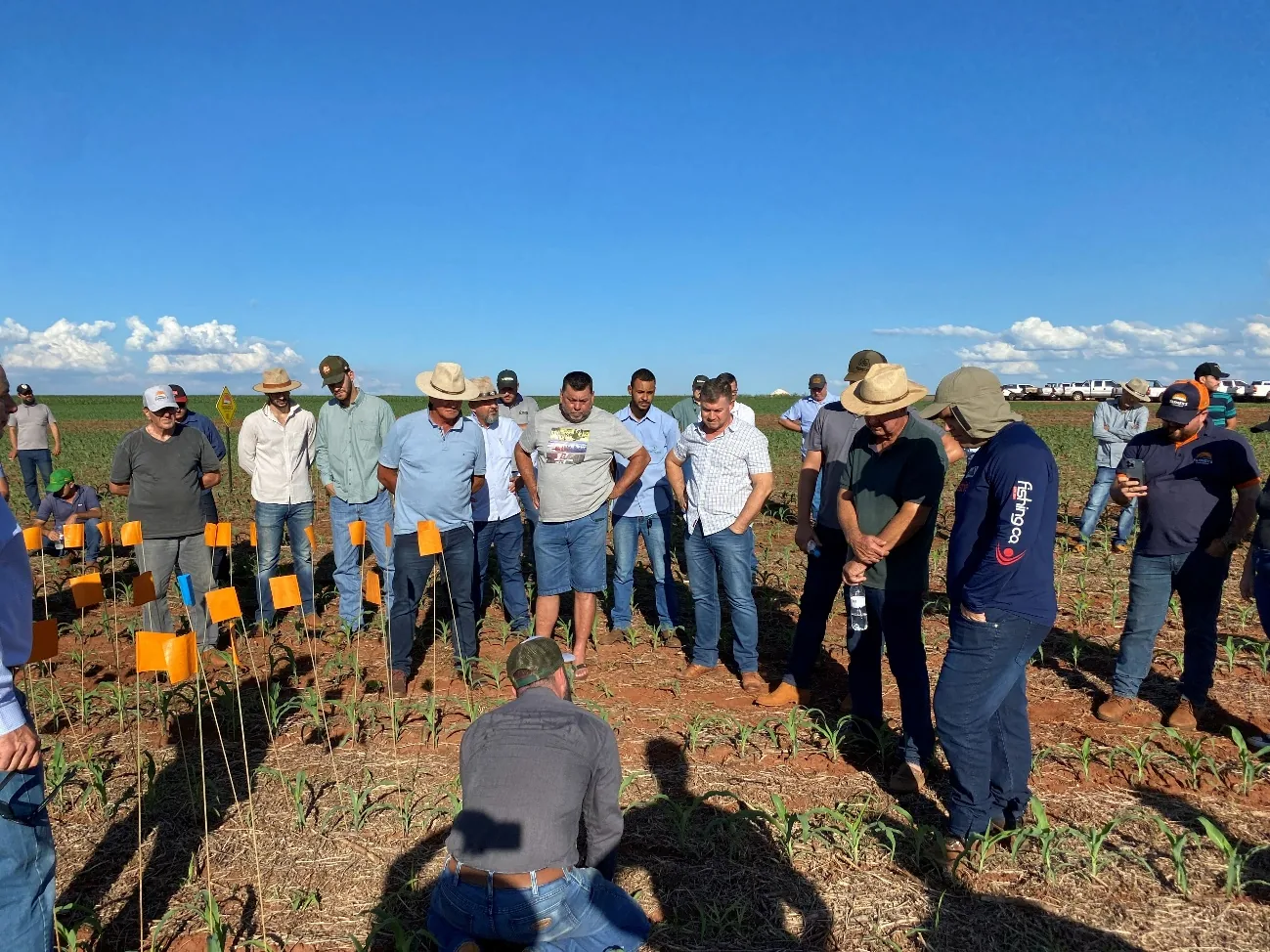 Trabalho de campo Brasil Raiz