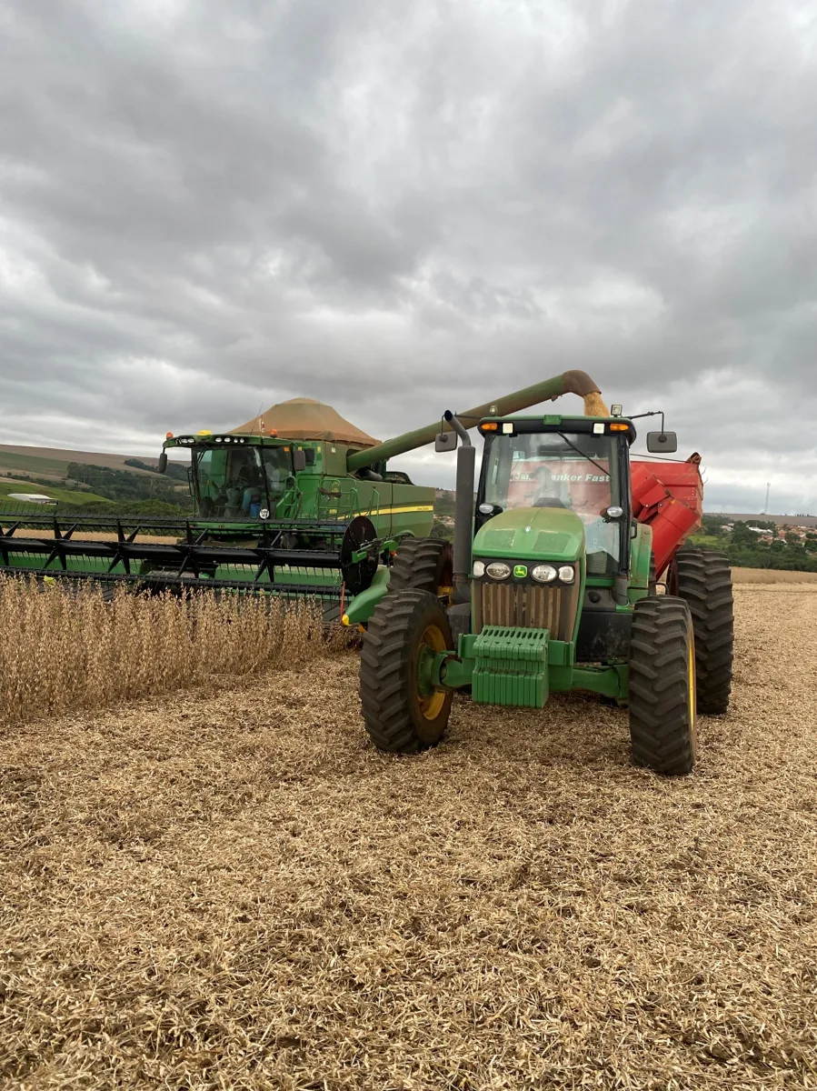 Trabalho de campo Brasil Raiz